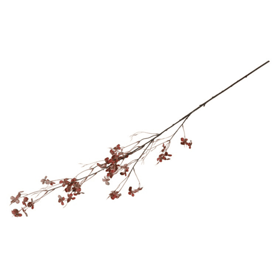 Bloem Prunus Avium S Rood 12x12x110cm