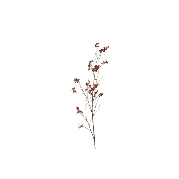 Bloem Prunus Avium S Rood 12x12x110cm