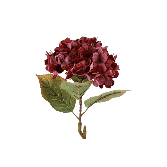 Bloem Hydrangea Paars 12x12x64cm