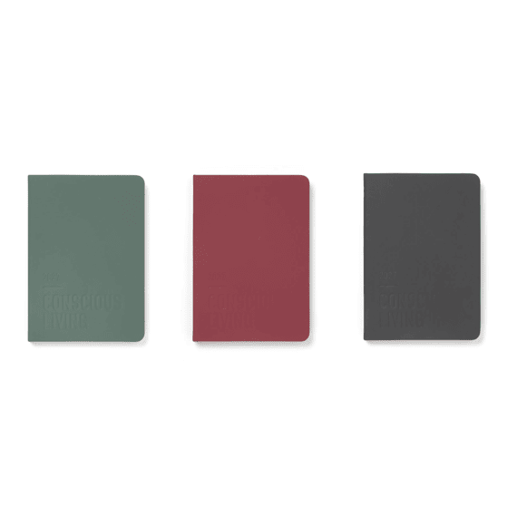 Letts Agenda A5 Conscious Evergreen Assortiment