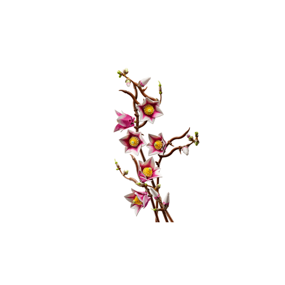 Lego Botanicals 11510 Magnoliatakken