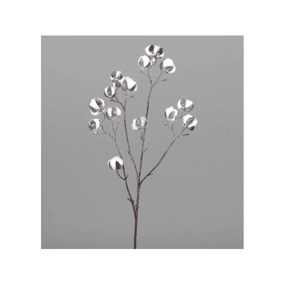 Katoenplant Tak 85cm