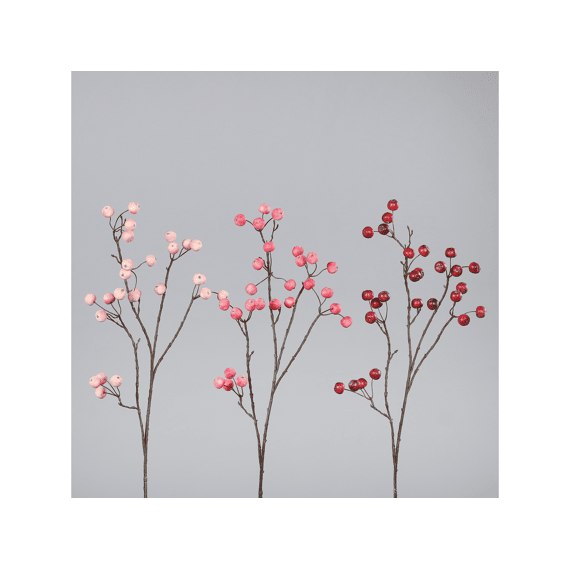 Tak Met Mini-appelen 93cm Assortiment