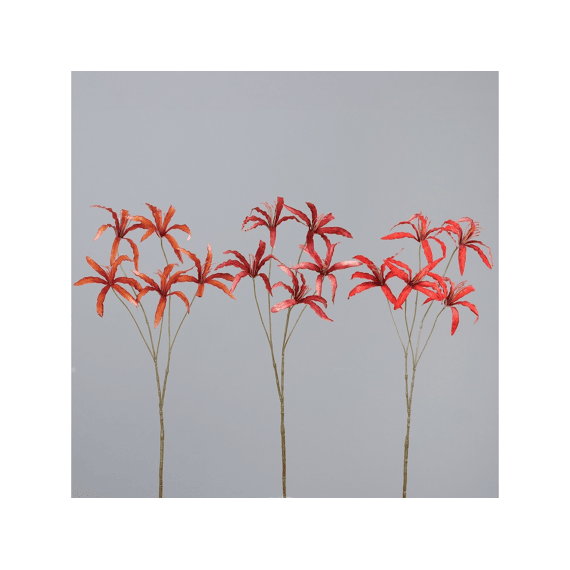 Nerine Met 5 Bloesems 84cm Assortiment
