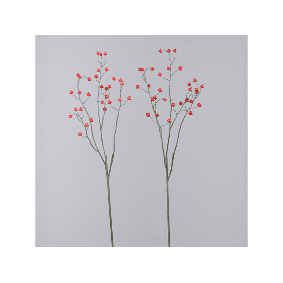 Rozenbotteltak 82cm Assortiment