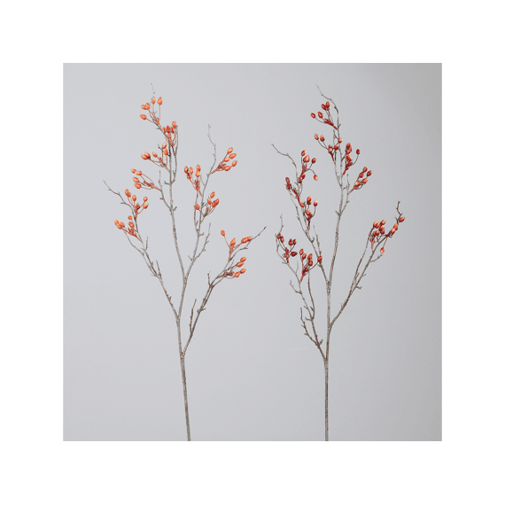 Rozenbotteltak 120cm Assortiment