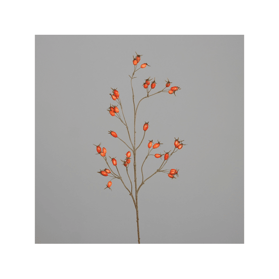 Rozenbotteltak 95cm Oranje