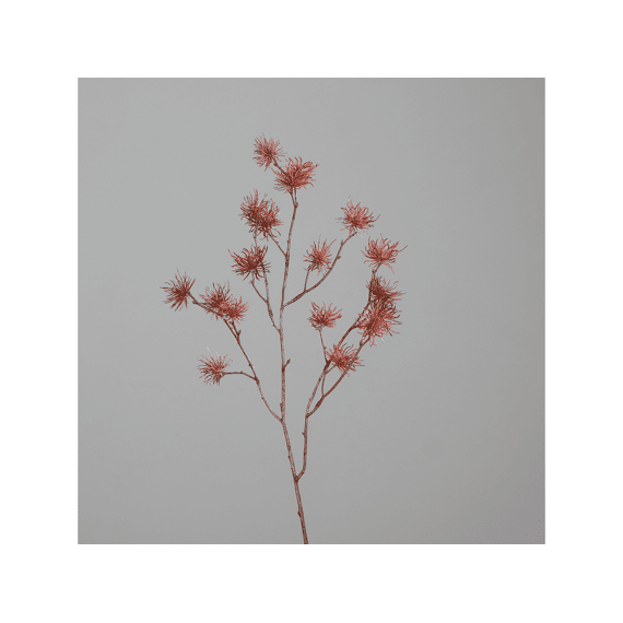 Hamamelis Tak 76cm Rood