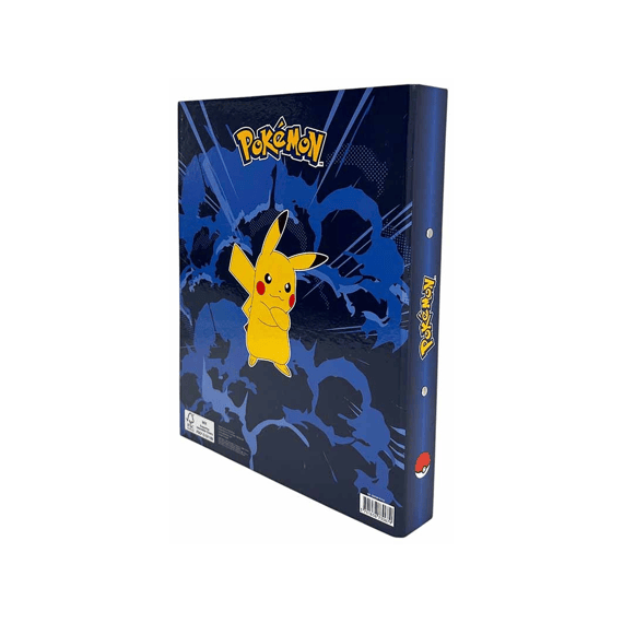Pokemon Ringmap A4 2 Ringen
