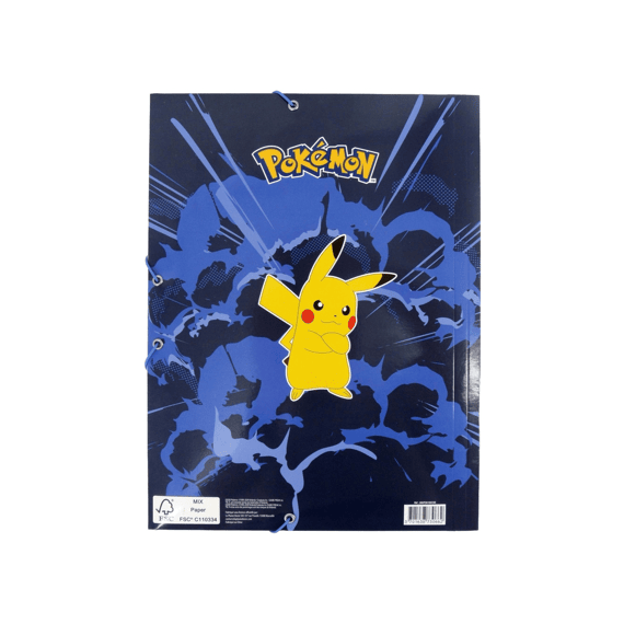 Pokemon Elastomap A4