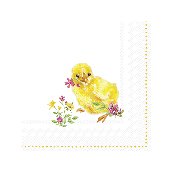 Ihr 10314 Chicks Cocktailservet Mix