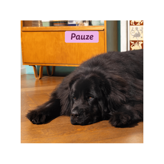 Edgard & Cooper Dog Adult Droog Hertenvlees/eend Small 3kg 