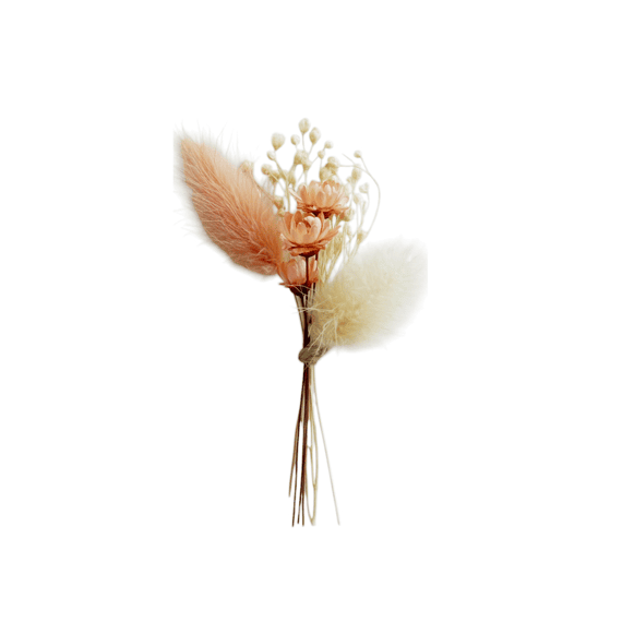 Vis Ta Vie Boeketje 6 Stuks 7cm Peach