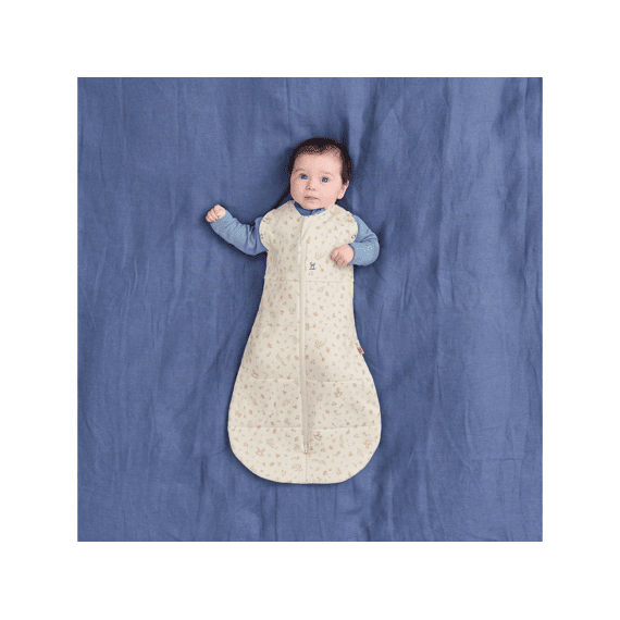 Ergopouch Ergococoon 0-3 maanden Winter 2,5 TOG Lullaby