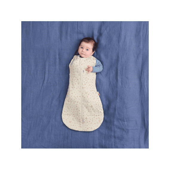 Ergopouch Ergococoon 3-6 maanden Winter 2,5 TOG Lullaby