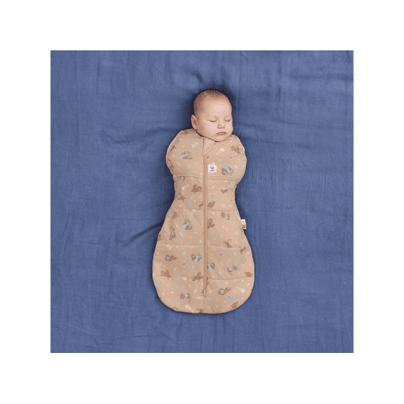Ergopouch Ergococoon 0-3 maanden Winter 2,5 TOG Melody