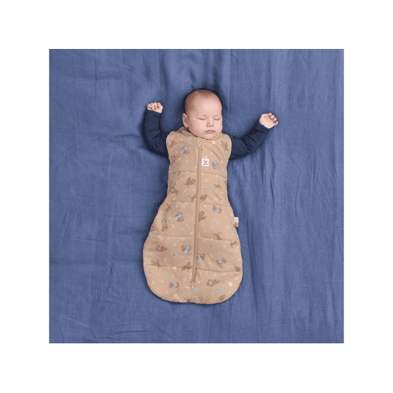 Ergopouch Ergococoon 0-3 maanden Winter 2,5 TOG Melody