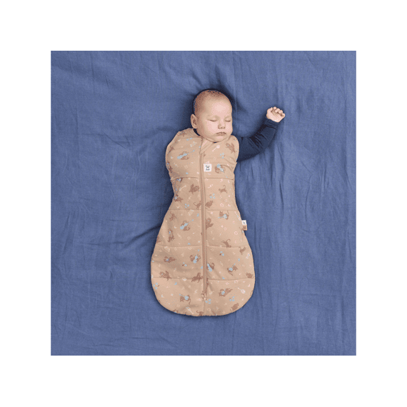 Ergopouch Ergococoon 3-6 maanden Winter 2,5 TOG Melody