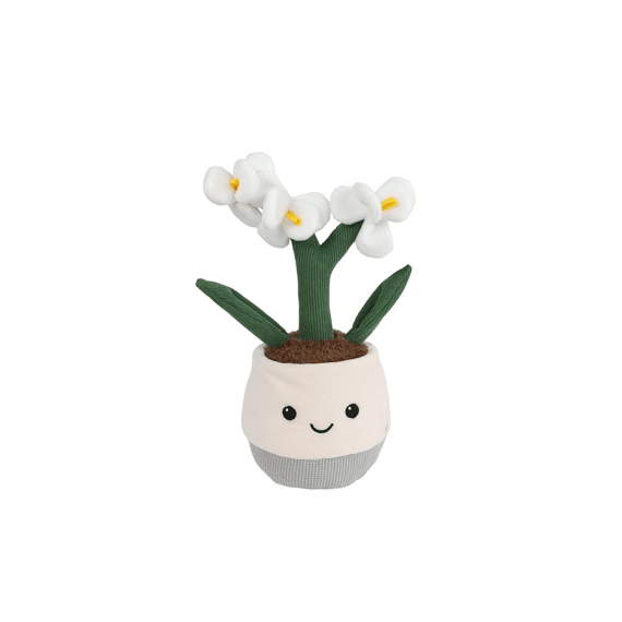 Take Me Home Plant Pluche Orchidee L 23cm Assortiment