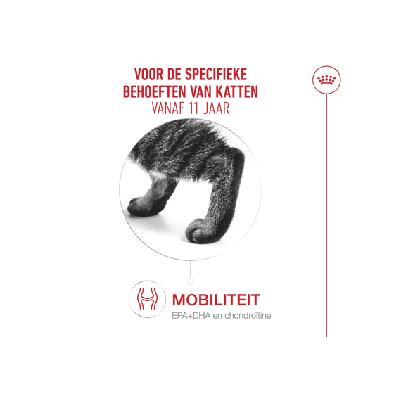 Royal Canin 11+ senior cats 400gr. Kattenvoer