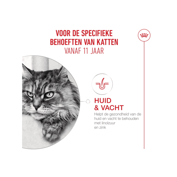 Royal Canin 11+ senior cats 400gr. Kattenvoer