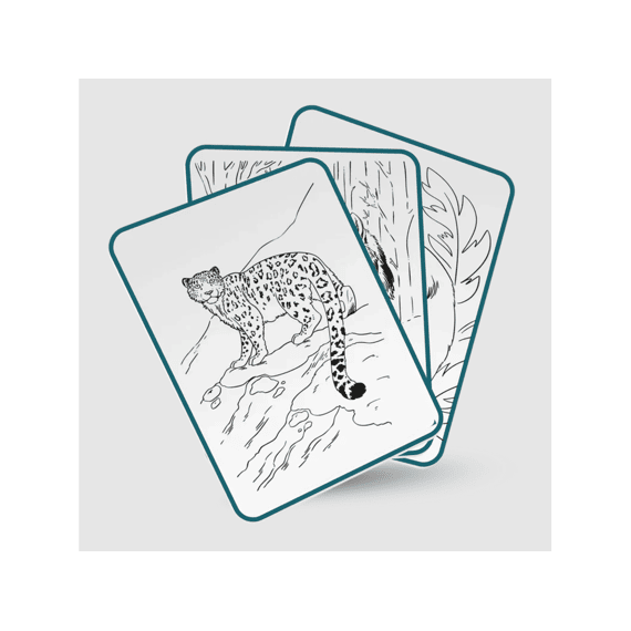 Kidywolf Kidydraw Pad Animals