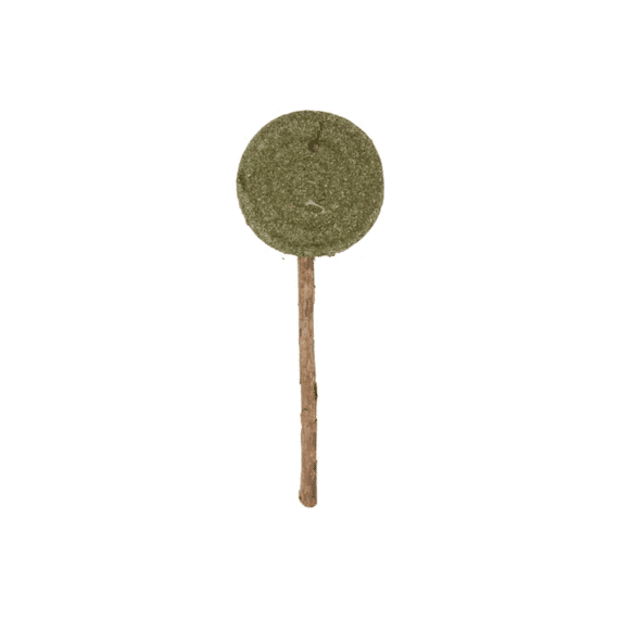 Flamingo Speelgoed Katti Lolly Groen  6x1,5x16cm