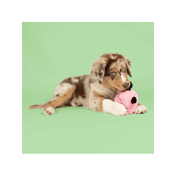 Duvo+ Hondenspeeltje Bouncy Buddy 17x17x10cm Roze