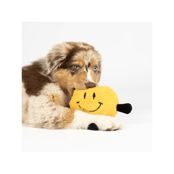 Duvo+ Hondenspeeltje Bouncy Buddy 17x17x10cm Geel