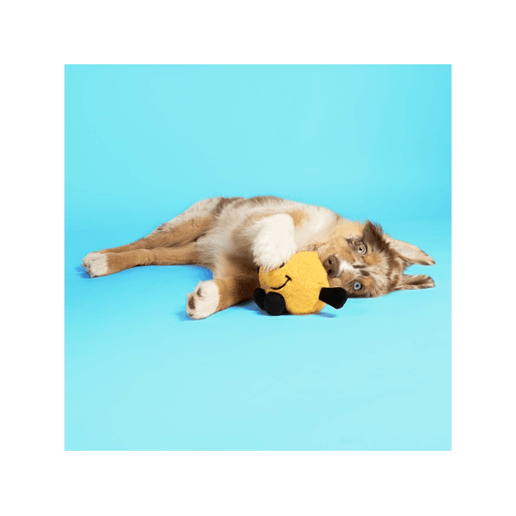 Duvo+ Hondenspeeltje Bouncy Buddy 17x17x10cm Geel