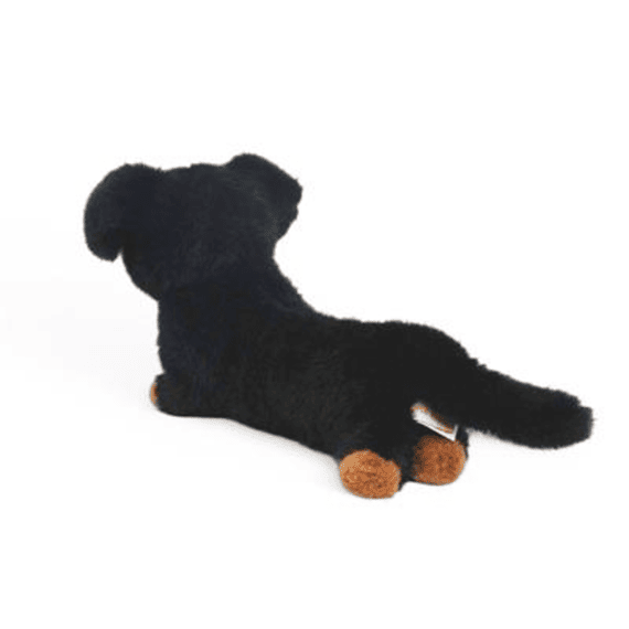 One Love Knuffel Teckel Pumpkin Zittend 40cm