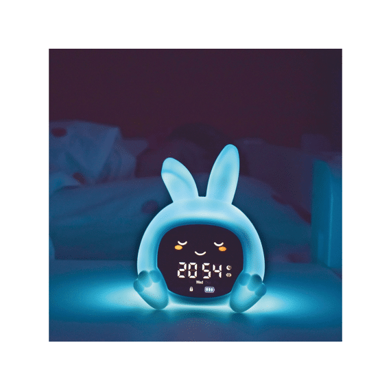 Zazu Slaap Trainer Sarah