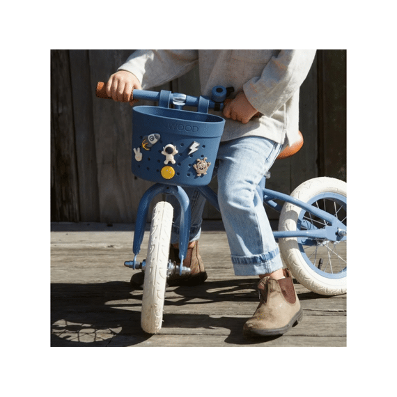 Banwood Pins Voor Fietsmandje Space