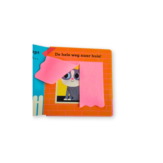 Voelboekje: Dit Kleine Poesje