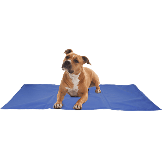 Flamingo Koelmat Frosty Blauw Xxl 120x80cm