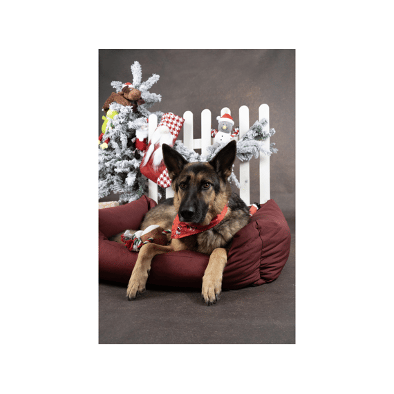 Flamingo Kerst Bandana Mik Rood 60x31cm