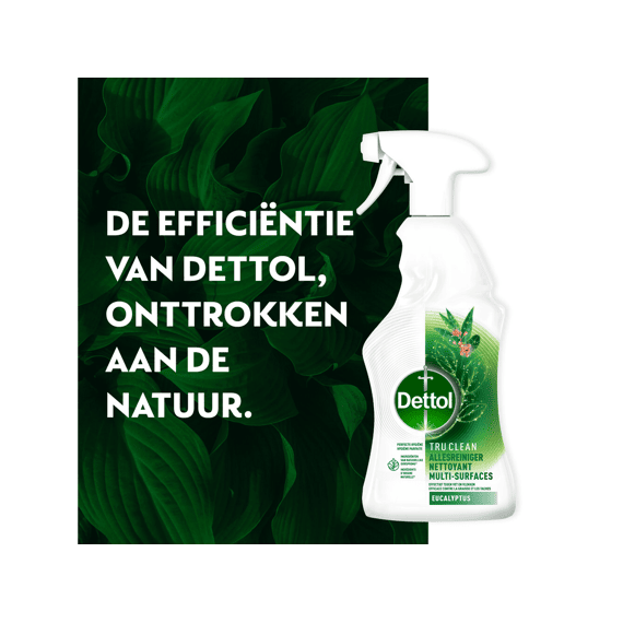 Dettol Allesreiniger Spray Tru Clean Eucalyptus 500ml