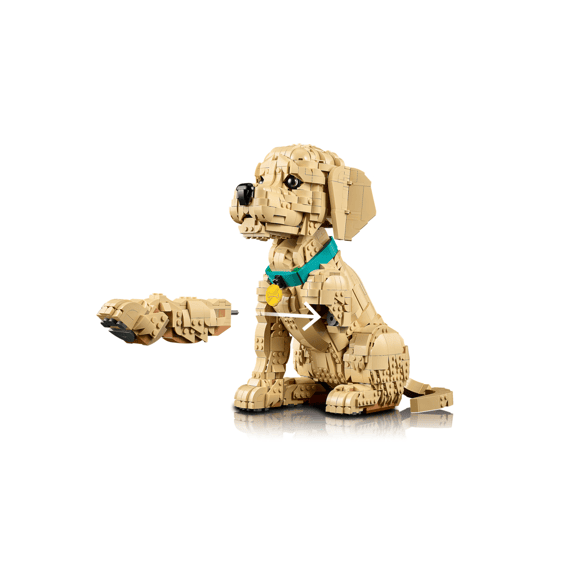 Lego Icons 11384 Golden Retriever Puppy