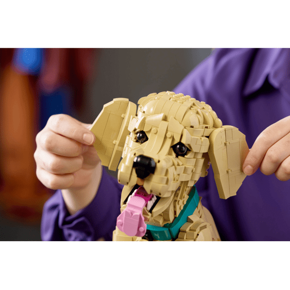 Lego Icons 11384 Golden Retriever Puppy