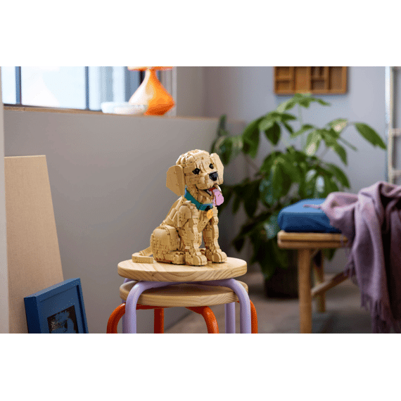 Lego Icons 11384 Golden Retriever Puppy
