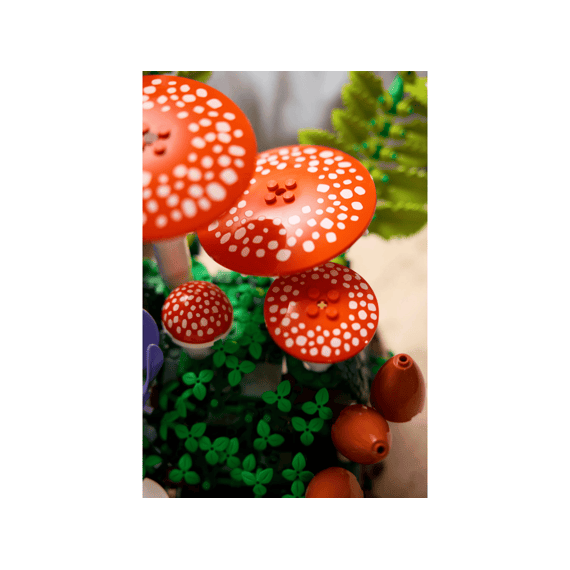 Lego Botanicals 11505 Bospaddenstoelen