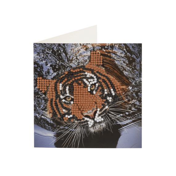Diamond Painting Kaarten Maken 2stuks Assortiment