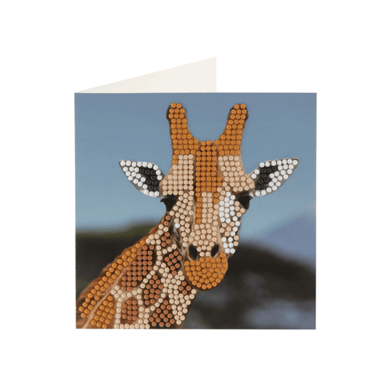 Diamond Painting Kaarten Maken 2stuks Assortiment