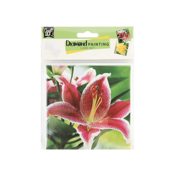 Diamond Painting Kaarten Maken 2stuks Assortiment