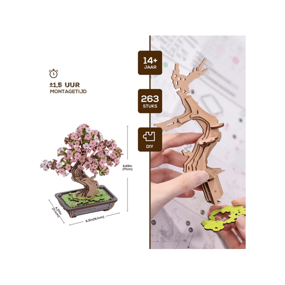 Robotime Rolife Miniatuur Bouwpakket Sakura Bonsai