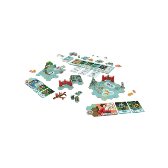 Spel Koi