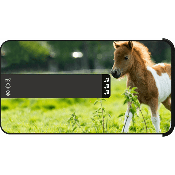 Bigben Alarmklok Wekker Met Soundeffects En 3 Covers Paarden