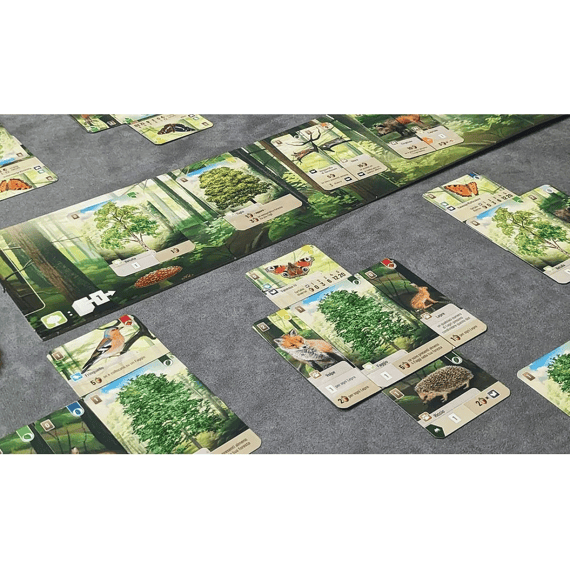 Forest Shuffle