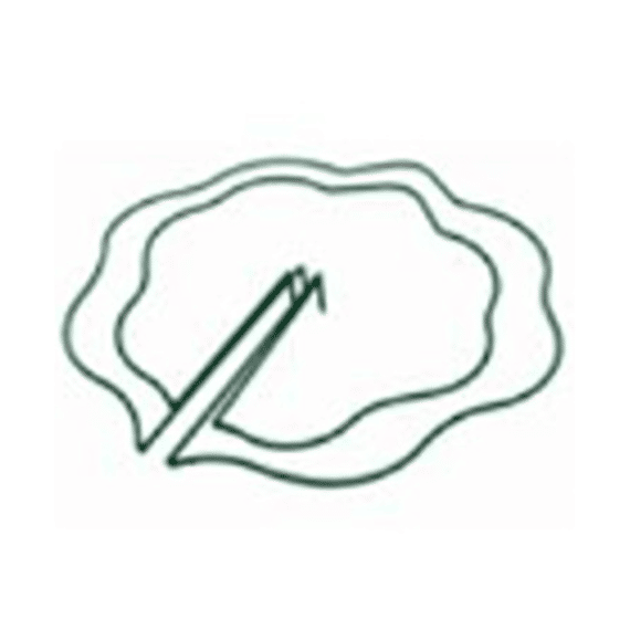 Nature Centrische Steunring Voor Plantenstok, Geschulpt - Ø 40 Cm