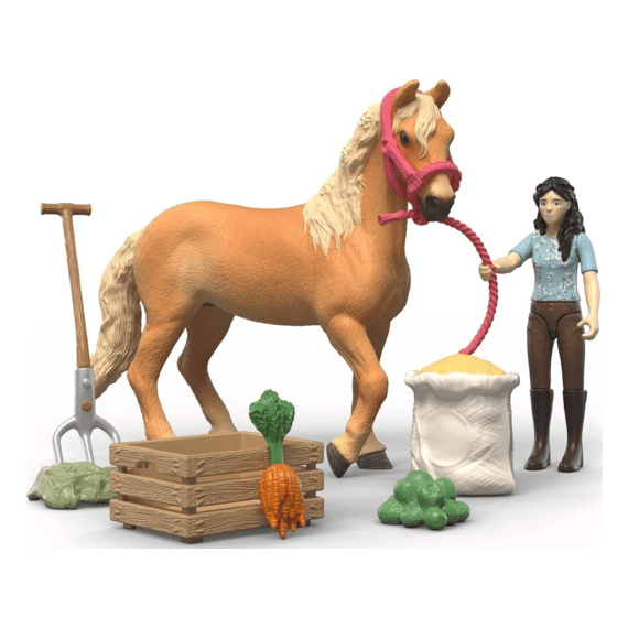 Schleich Horse Club Emilys Verzorgingset
